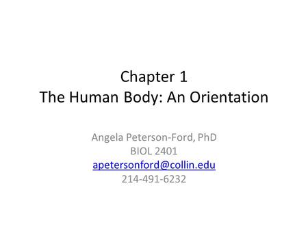 Chapter 1 The Human Body: An Orientation Angela Peterson-Ford, PhD BIOL 2401 214-491-6232.