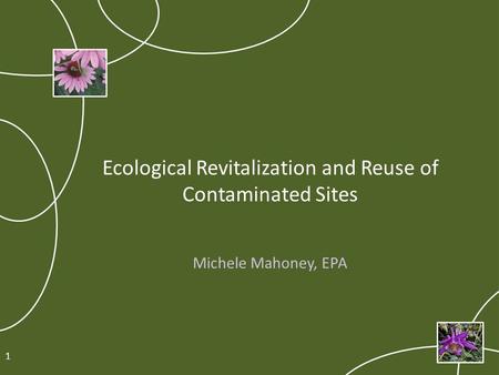 Ecological Revitalization and Reuse of Contaminated Sites Michele Mahoney, EPA 1.