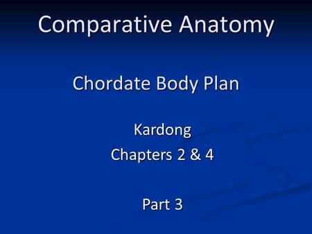Comparative Anatomy Chordate Body Plan