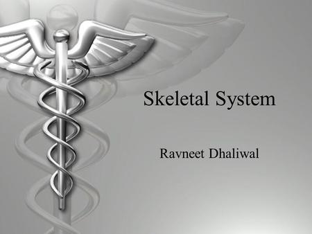 Skeletal System Ravneet Dhaliwal What it does…  The skeletal system has many important functions which include-  Supporting the body  Protecting internal.