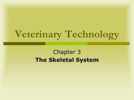 Veterinary Technology Chapter 3 The Skeletal System.