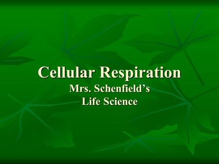 Cellular Respiration Mrs. Schenfield’s Life Science