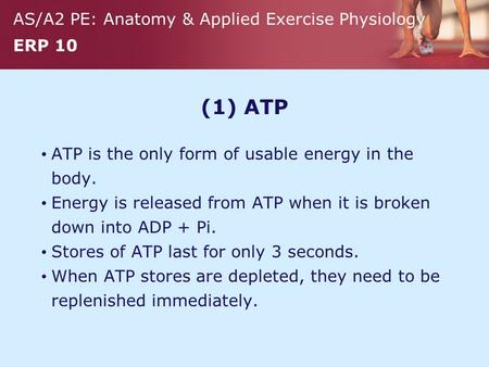 (1) ATP ATP is the only form of usable energy in the body.