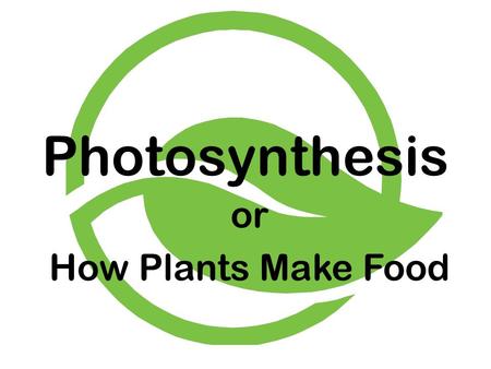 Photosynthesis or How Plants Make Food.
