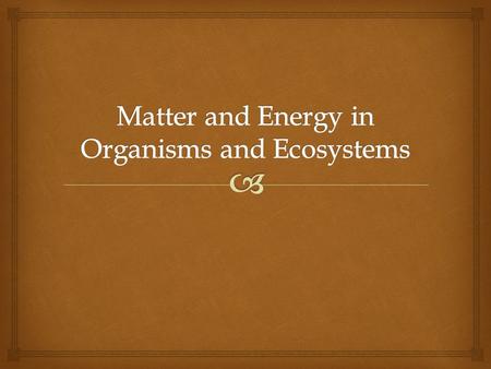  Energy Flow in Ecosystems Section One  Energy Roles  An organisms role is determined by how it obtains energy and how it interacts with other organisms.