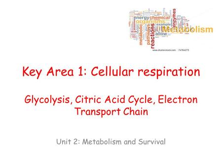 Key Area 1: Cellular respiration Glycolysis, Citric Acid Cycle, Electron Transport Chain Unit 2: Metabolism and Survival.