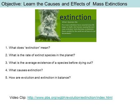 Objective: Learn the Causes and Effects of Mass Extinctions 1. What does “extinction” mean? 2. What is the rate of extinct species in the planet? 3. What.