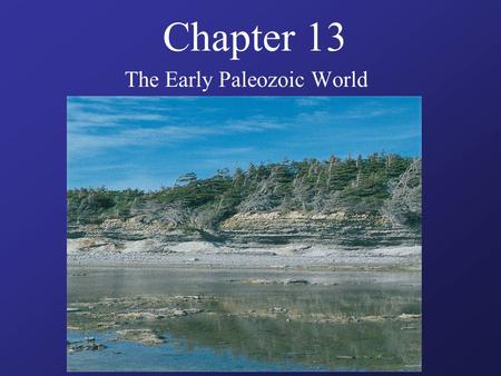 Chapter 13 The Early Paleozoic World. Guiding Questions What kinds of animal skeletons arose during the Cambrian period? How did Ordovician life differ.