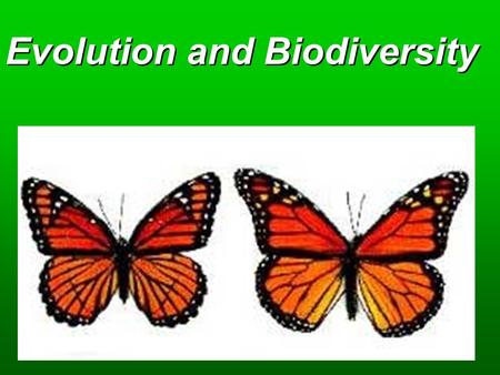 Evolution and Biodiversity. Concepts  Origins  Evolutionary Processes  Ecological Niches  Species Formation  Species Extinction.