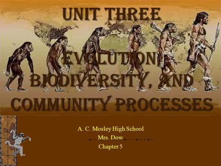1 Unit Three Evolution, Biodiversity, and Community Processes A. C. Mosley High School Mrs. Dow Chapter 5.