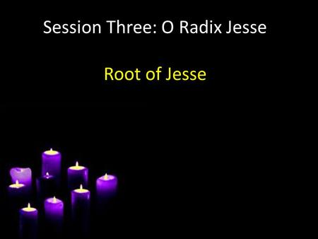 Session Three: O Radix Jesse