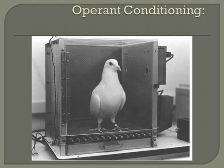  Operant conditioning is simply learning from the consequences of your behavior the “other side” of the psychologist’s tool box, operant conditioning.