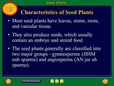 Characteristics of Seed Plants Most seed plants have leaves, stems, roots, and vascular tissue. They also produce seeds, which usually contain an embryo.