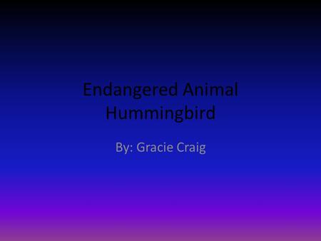 Endangered Animal Hummingbird By: Gracie Craig Habitat of Hummingbird The Hummingbird species is only found in the Western Hemisphere, from Southwestern.