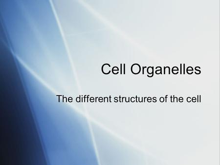 Cell Organelles The different structures of the cell.