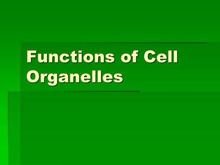 Functions of Cell Organelles.  Nucleus (A,P)  controls all cell activities  stores chromatin (DNA,chromosomes)  Nuclear Membrane (A,P)  allows substances.