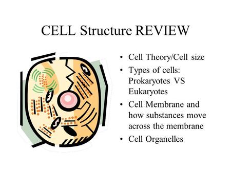 CELL Structure REVIEW Cell Theory/Cell size