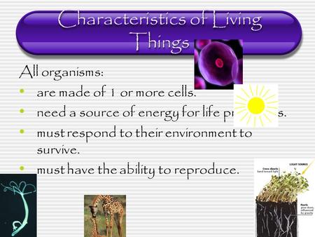 Characteristics of Living Things All organisms: are made of 1 or more cells. need a source of energy for life processes. must respond to their environment.