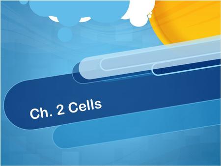 Ch. 2 Cells.