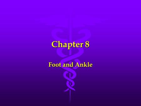 Chapter 8 Foot and Ankle.