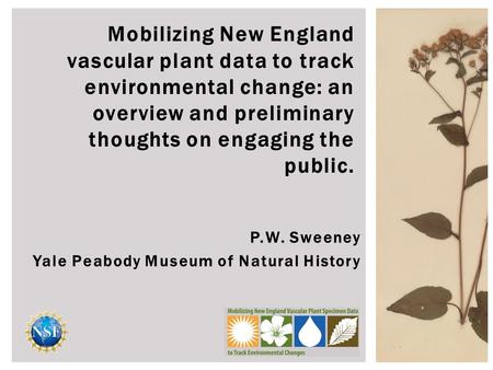 P.W. Sweeney Yale Peabody Museum of Natural History Mobilizing New England vascular plant data to track environmental change: an overview and preliminary.