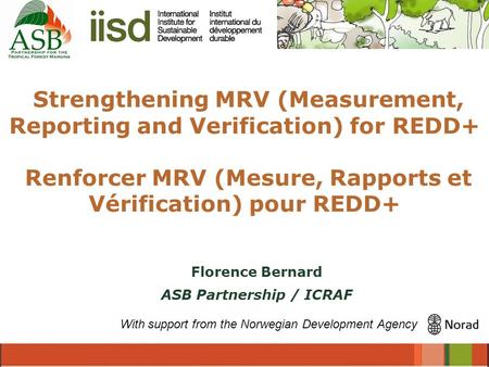 Strengthening MRV (Measurement, Reporting and Verification) for REDD+ Renforcer MRV (Mesure, Rapports et Vérification) pour REDD+ With support from the.