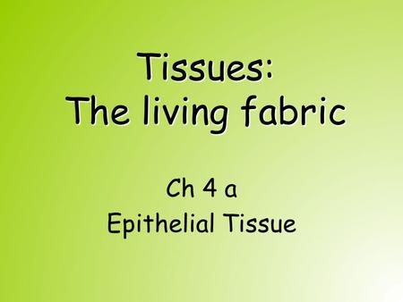 Tissues: The living fabric Ch 4 a Epithelial Tissue.