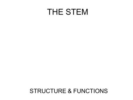 THE STEM STRUCTURE & FUNCTIONS. General Terminology Annual – a plant that completes its life cycle (seed, flower, fruit and seed) in one growing season.