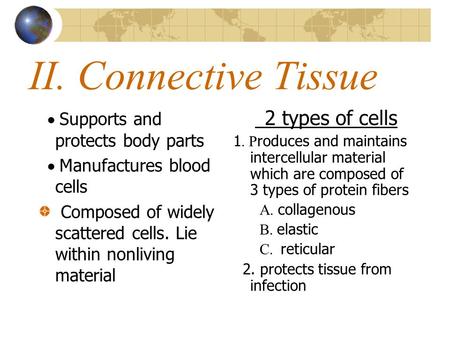II. Connective Tissue  Supports and protects body parts  Manufactures blood cells Composed of widely scattered cells. Lie within nonliving material.