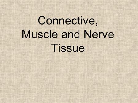 Connective, Muscle and Nerve Tissue. Connective Tissues 2 Parts: 1. Cells (living) 2. Matrix (nonliving substance released by cells) A. Ground Substance.