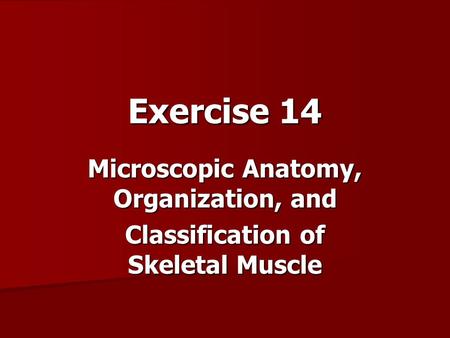 Exercise 14 Microscopic Anatomy, Organization, and