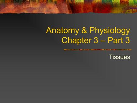 Anatomy & Physiology Chapter 3 – Part 3