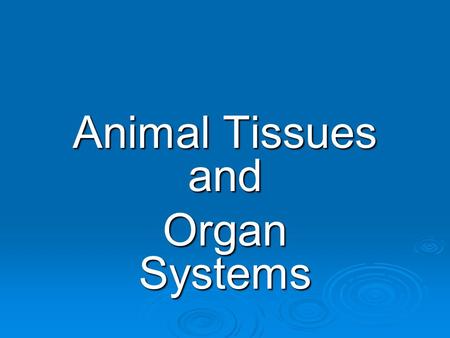 Animal Tissues and Organ Systems. Homeostasis  Stable operating conditions in the internal environment  Brought about by coordinated activities of cells,