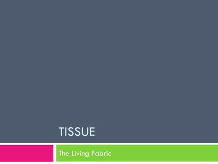 TISSUE The Living Fabric. Pages 118-124 Section 1.