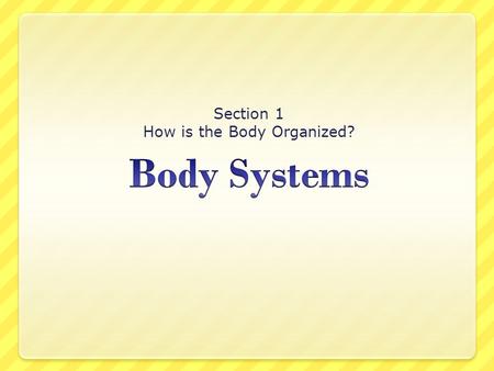 Section 1 How is the Body Organized?. Objective  You will know that the human body is composed of subsystems.