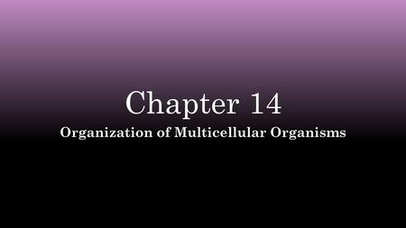 Organization of Multicellular Organisms