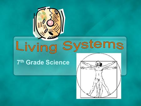 7 th Grade Science. Living Systems Every living thing has parts that work together.Every living thing has parts that work together. From cells to organs,