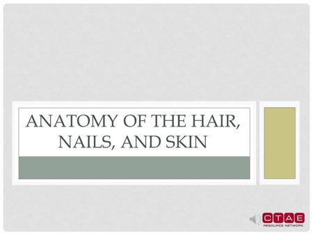 Anatomy of the Hair, Nails, and Skin