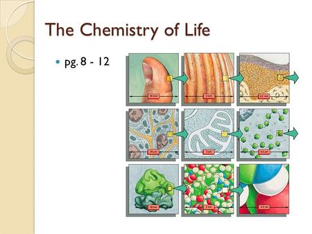 The Chemistry of Life pg. 8 - 12. Why is the study of cells so important? Effects of medicine Diverse Careers Benefits of Foods Ethical testing Improved.