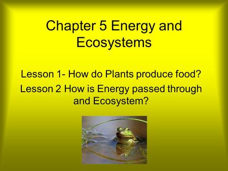 Chapter 5 Energy and Ecosystems