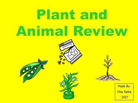 Plant and Animal Review Made By: Miss Ratka 2007.