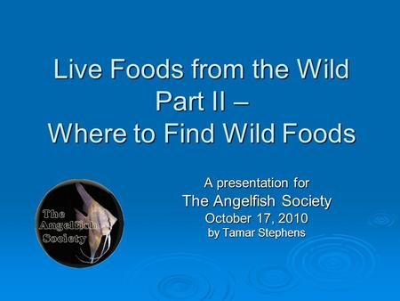 Live Foods from the Wild Part II – Where to Find Wild Foods A presentation for The Angelfish Society October 17, 2010 by Tamar Stephens.