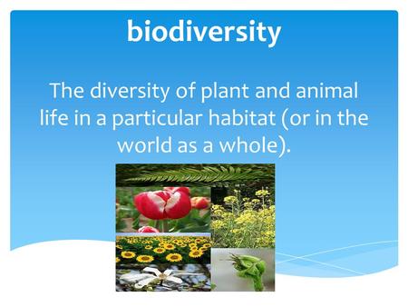 Biodiversity The diversity of plant and animal life in a particular habitat (or in the world as a whole).
