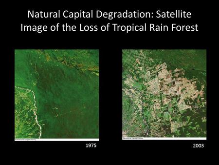 Natural Capital Degradation: Satellite Image of the Loss of Tropical Rain Forest 1975 2003.
