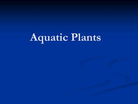 Aquatic Plants. I. Adaptations A. Aquatic and wetland plants do not belong to any one particular plant family. B. Individuals plants within families have.