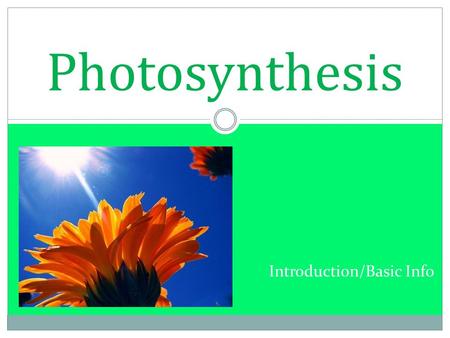 Introduction/Basic Info Photosynthesis. Essential for all life on earth Autotrophs Consumers Photosynthesis Glucose (only an example) Respiration CO 2.