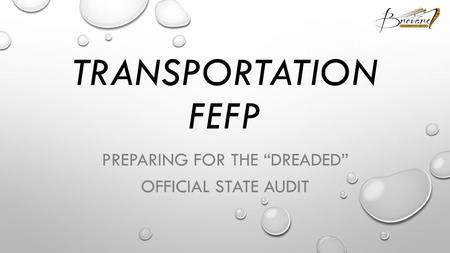 TRANSPORTATION FEFP PREPARING FOR THE “DREADED” OFFICIAL STATE AUDIT.