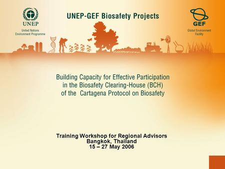 Training Workshop for Regional Advisors Bangkok, Thailand 15 – 27 May 2006.