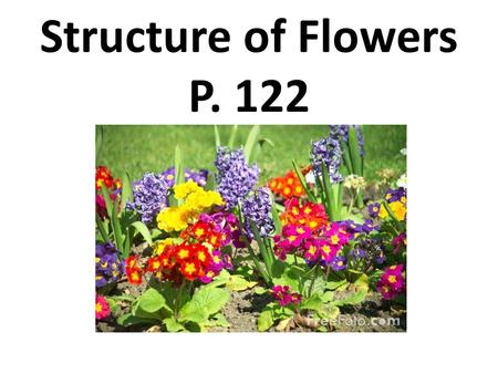 Structure of Flowers P. 122.
