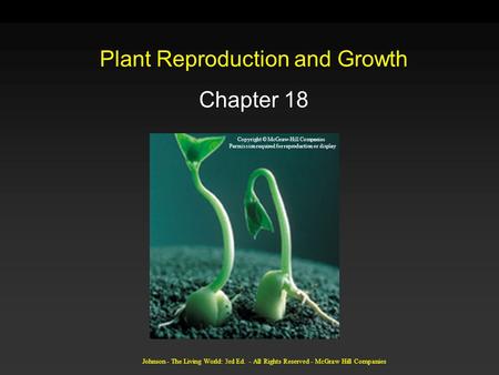 Johnson - The Living World: 3rd Ed. - All Rights Reserved - McGraw Hill Companies Plant Reproduction and Growth Chapter 18 Copyright © McGraw-Hill Companies.
